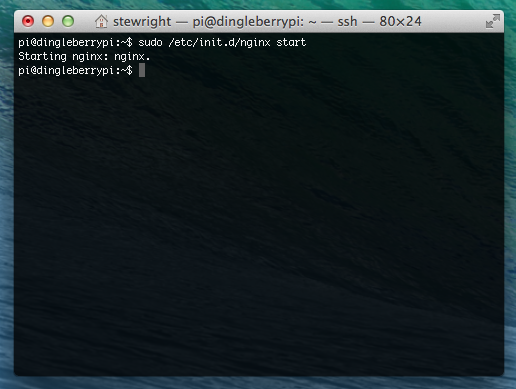 Launch nginx on Raspbian
