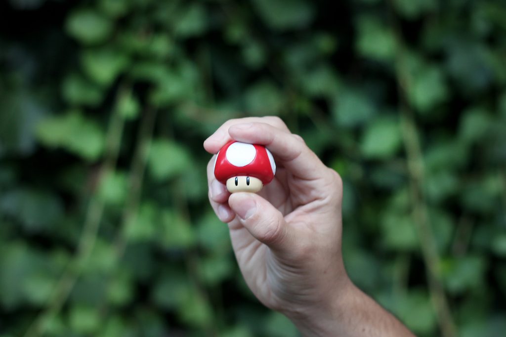 I couldn’t find any vim or nano photos, so here, have a mushroom, a geeky toy mushroom.