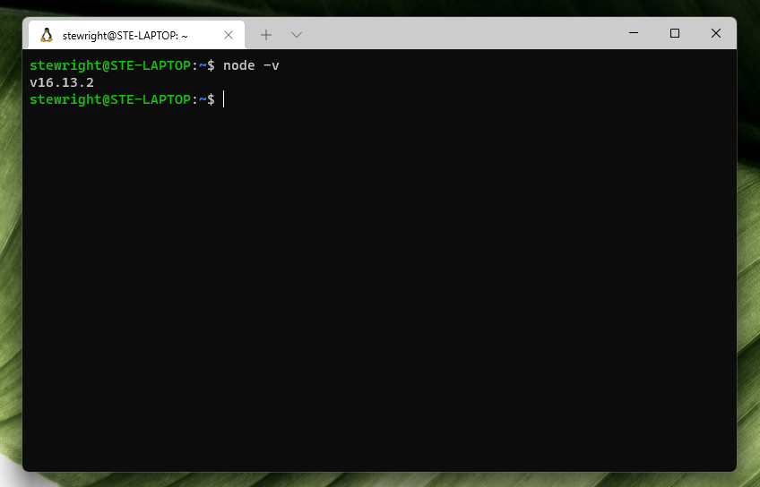 NodeJS 16 successfully installed on Ubuntu 20.04